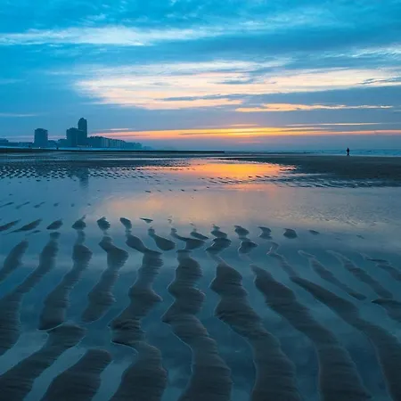 La Ruche Oostende